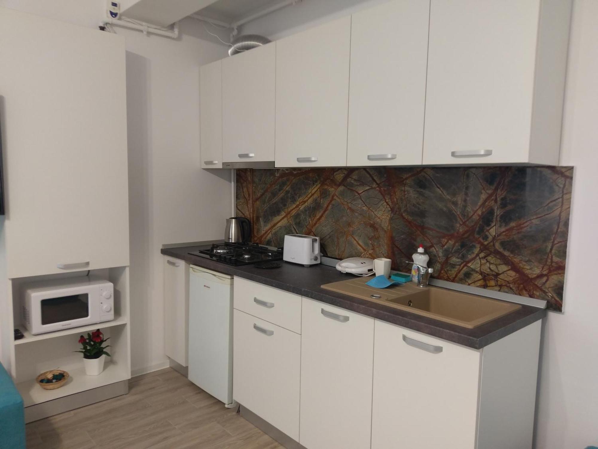 Apartment Apartamentul Turcoaz *